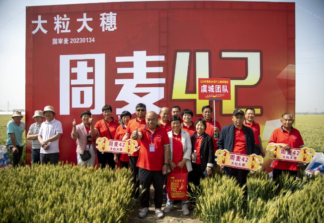 企业风采