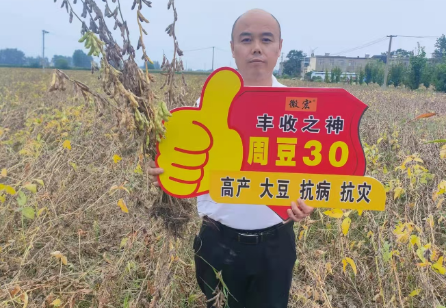 企业风采