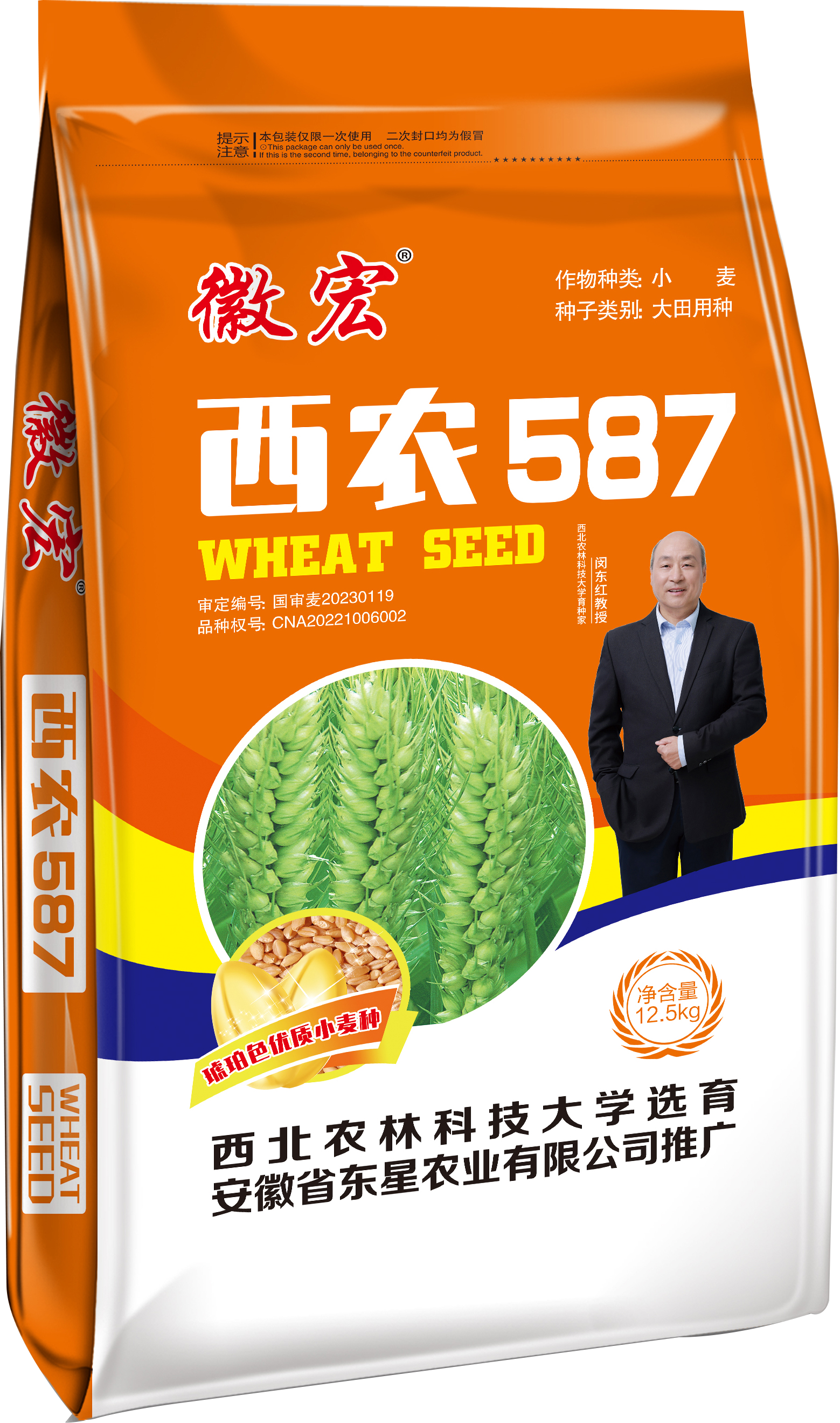 徽宏-西农587