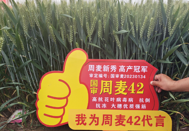 企业风采