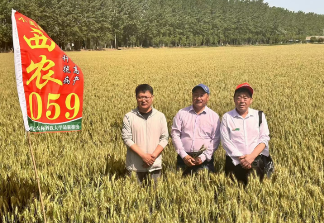 企业风采