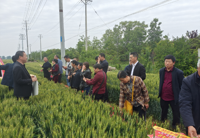 企业风采