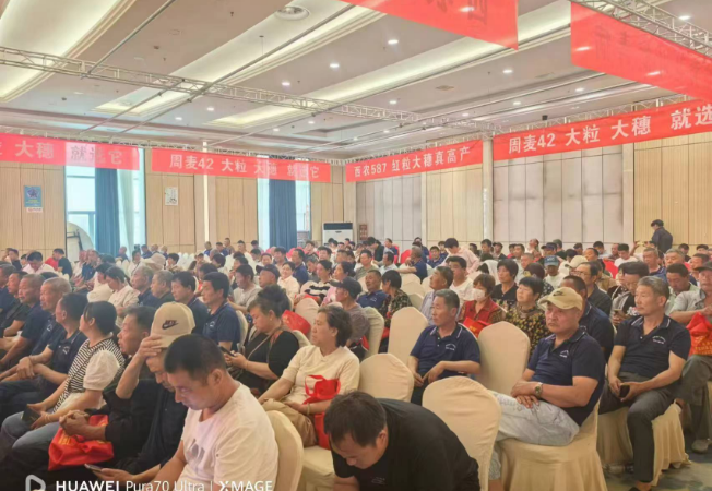 企业风采