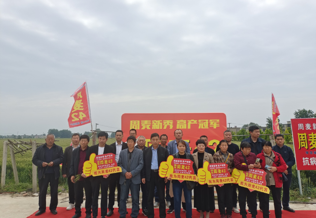 企业风采