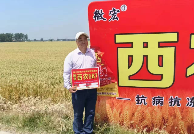 企业风采