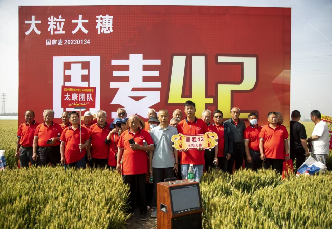 企业风采