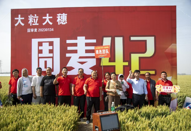 企业风采