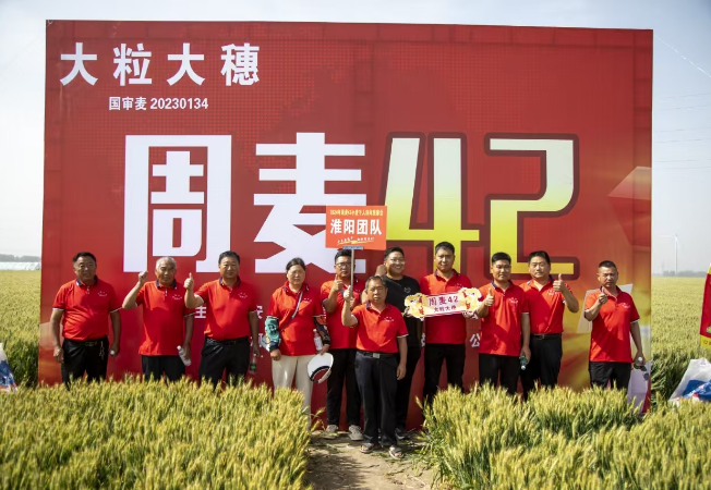 企业风采