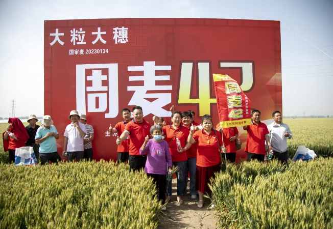 企业风采