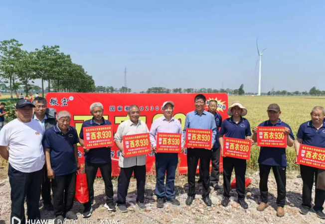 企业风采