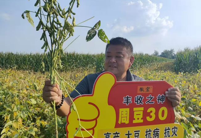 企业风采