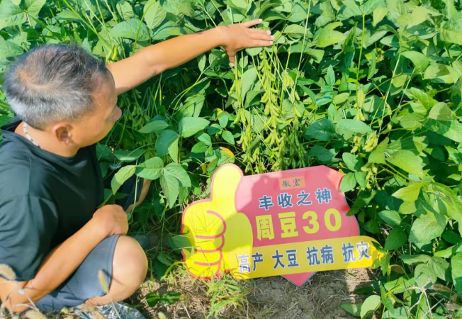 企业风采