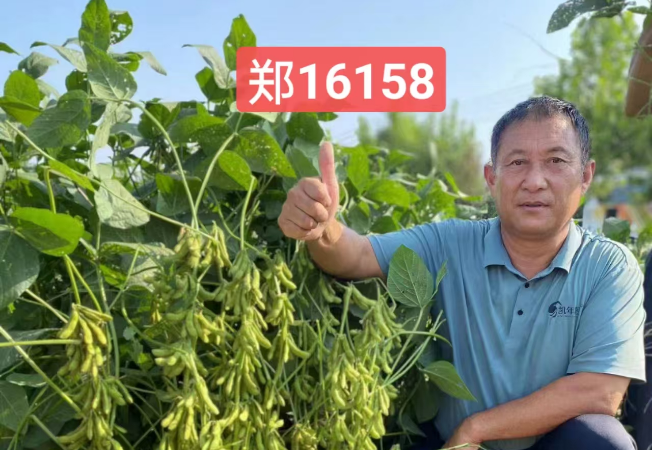 企业风采