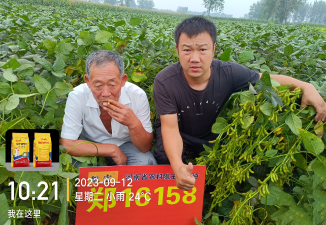 企业风采