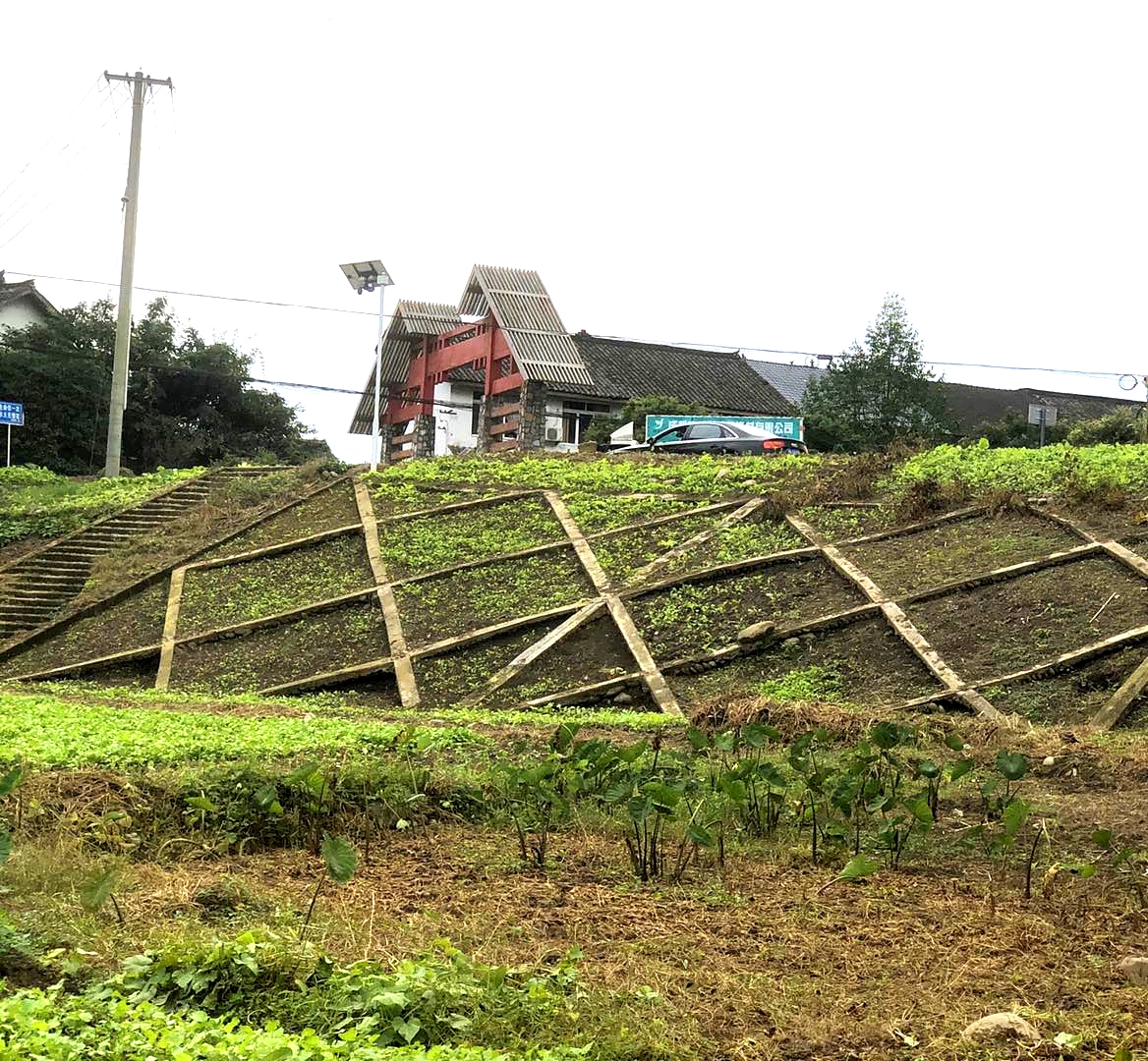 四川省邛崃市出阝江河茶园乡防洪治理工程