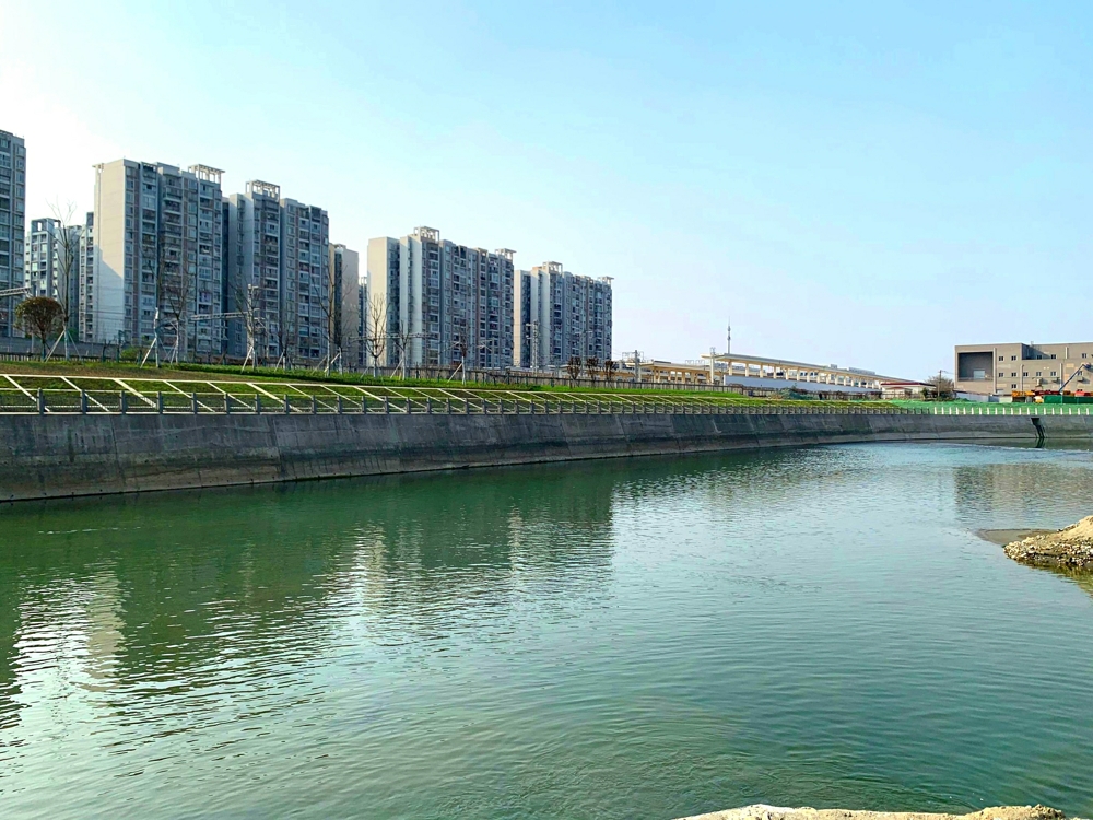 四川省青羊区清水河清波五组至水印长岛段防洪治理工程