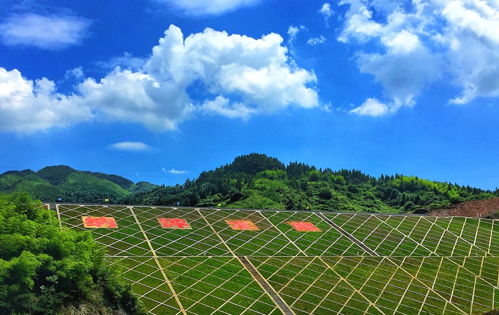 纳坪水库