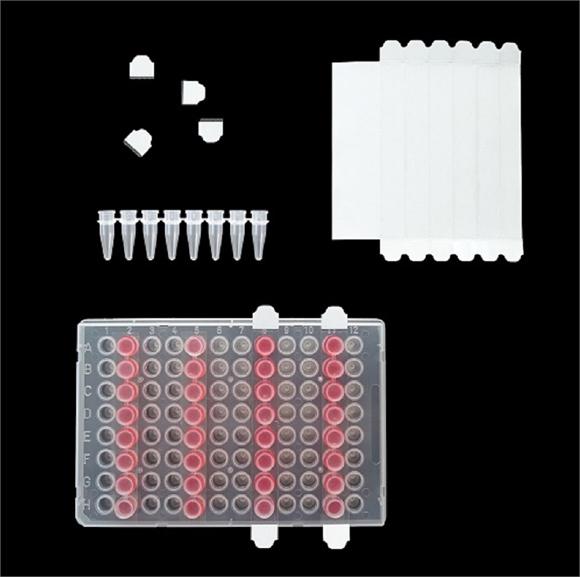 巴羅克EZcap PCR 封膜條