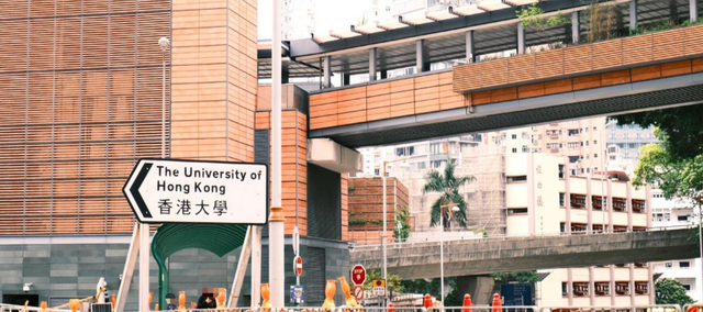 港校喊话“收留哈佛学生”背后，2025香港录取堪比“寒战”“无间道”