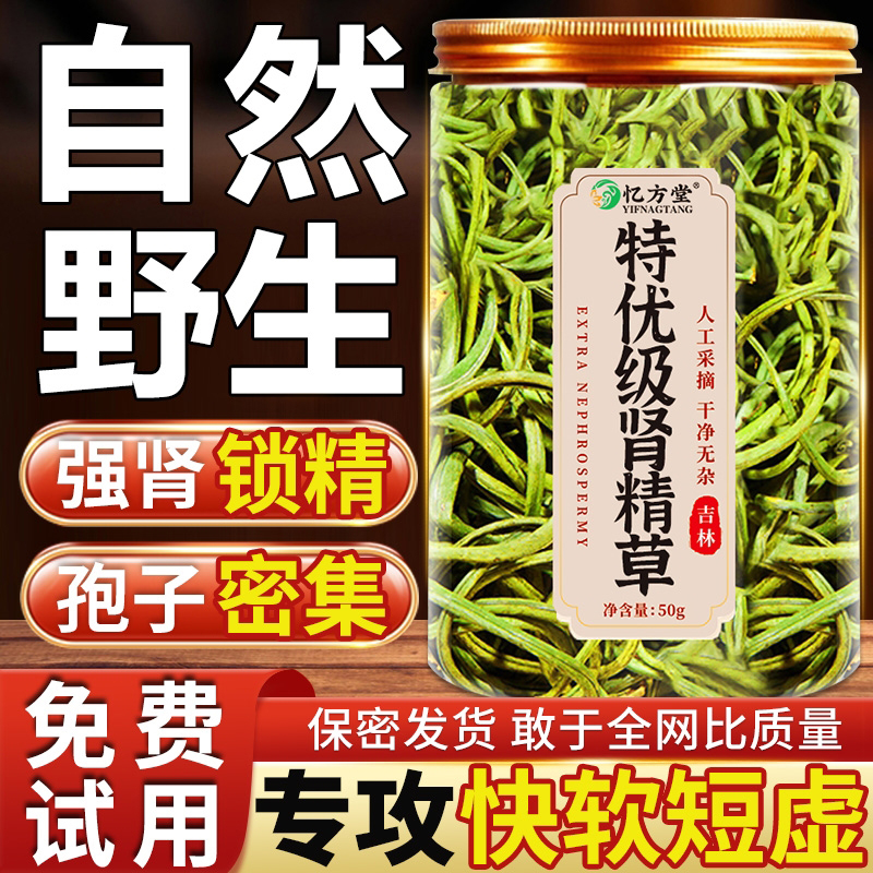 肾精草长白山野生小叶黄金草嗷嗷叫肾精草茶泡水喝正品官方旗舰店
