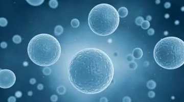 中华两岸干细胞研究发展研讨会顺利召开