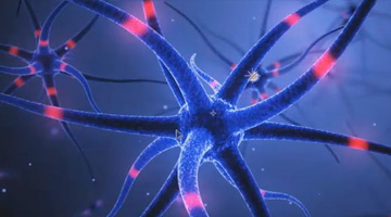 关于临床急需医疗器械注册申报有关事宜的通告（2020年第22号）