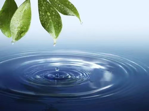 30吨/年聚季铵盐-51项目（一期）环保验收公示