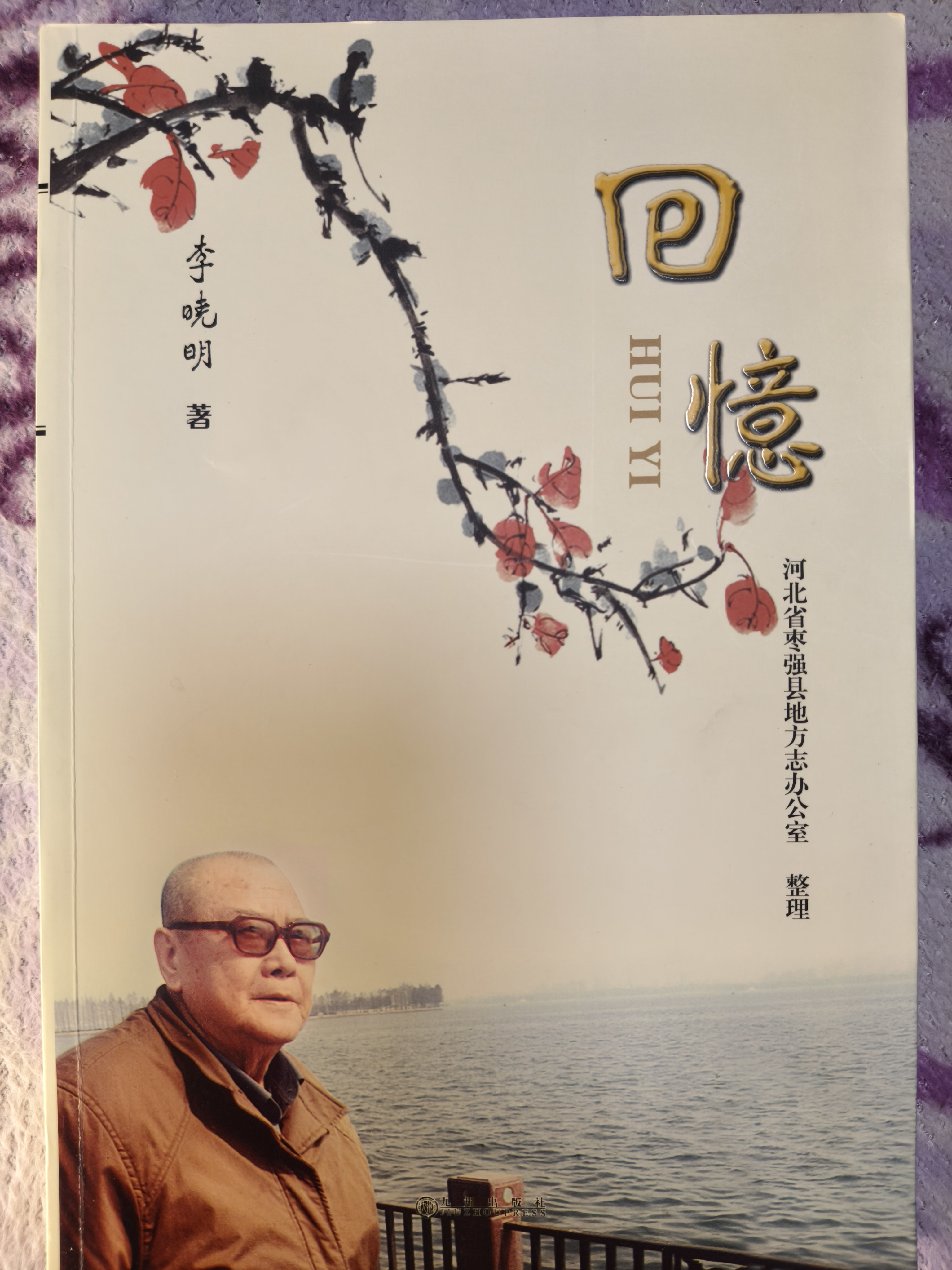 平原枪声：土枪打出的抗战传奇