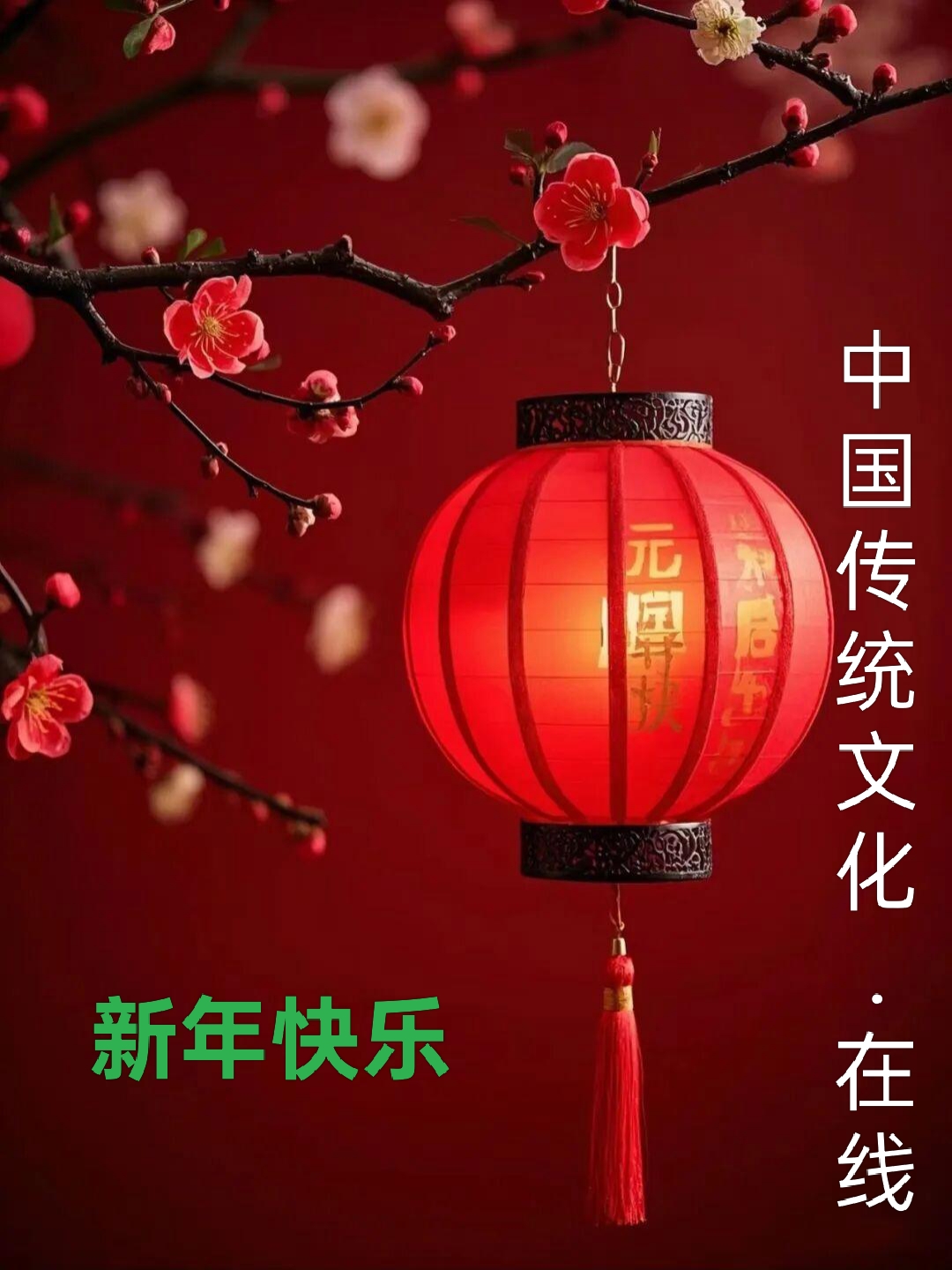 枣强方队2026年迎新年庆元旦联欢晚会落下帷幕，祝大家新年快乐