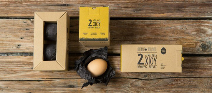 国外一款装鸡蛋的精致包装 国外一款装鸡蛋的精致包装