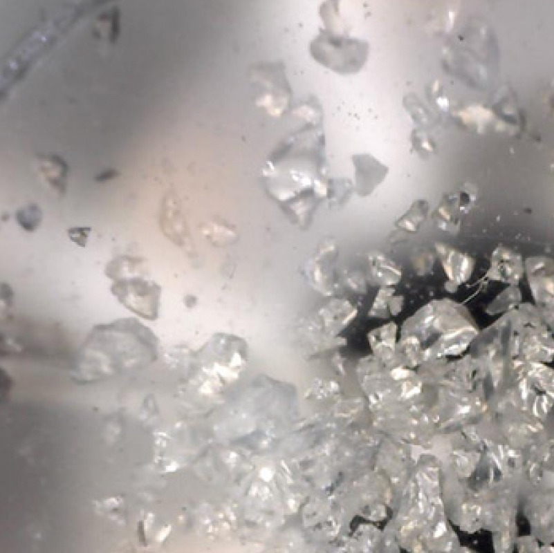 DVS Endeavour 高通量的重量法动态蒸气吸附分析仪 - 英国SMS