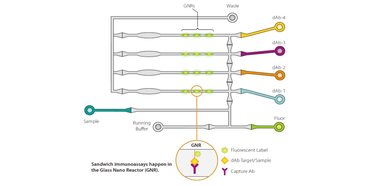 孔板微流控技术流程 孔板微流控技术流程
