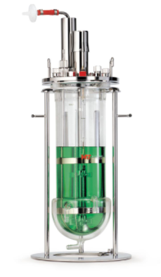 INFORS  LED 光照发酵罐