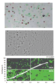 帝肯（Tecan）Spark 多功能微孔板检测平台