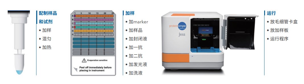 Jess多功能全自动蛋白质表达定量分析系统 Jess多功能全自动蛋白质表达定量分析系统