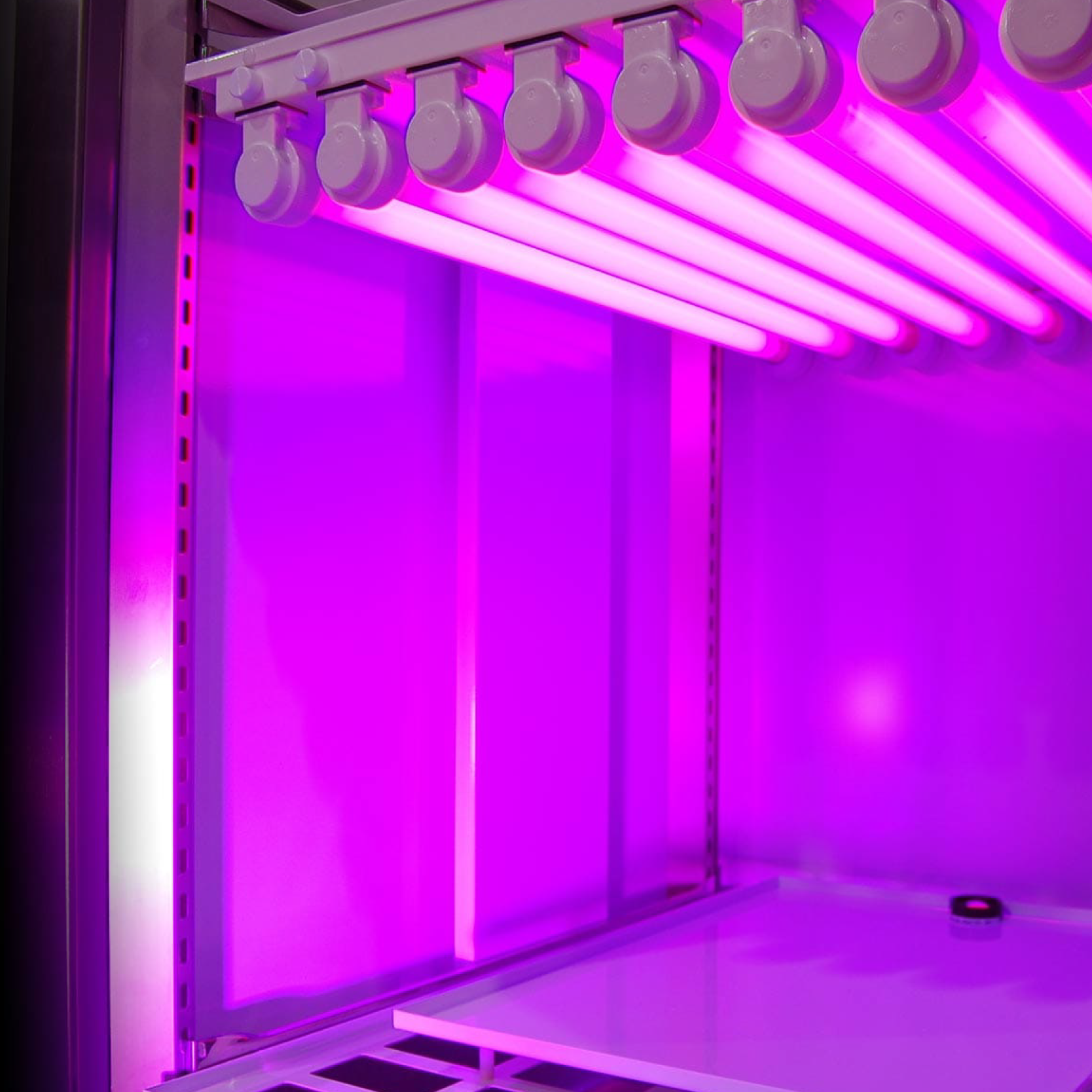 Aralab 光照培养箱 - FitoClima 600 PLH / 600 PLH-R