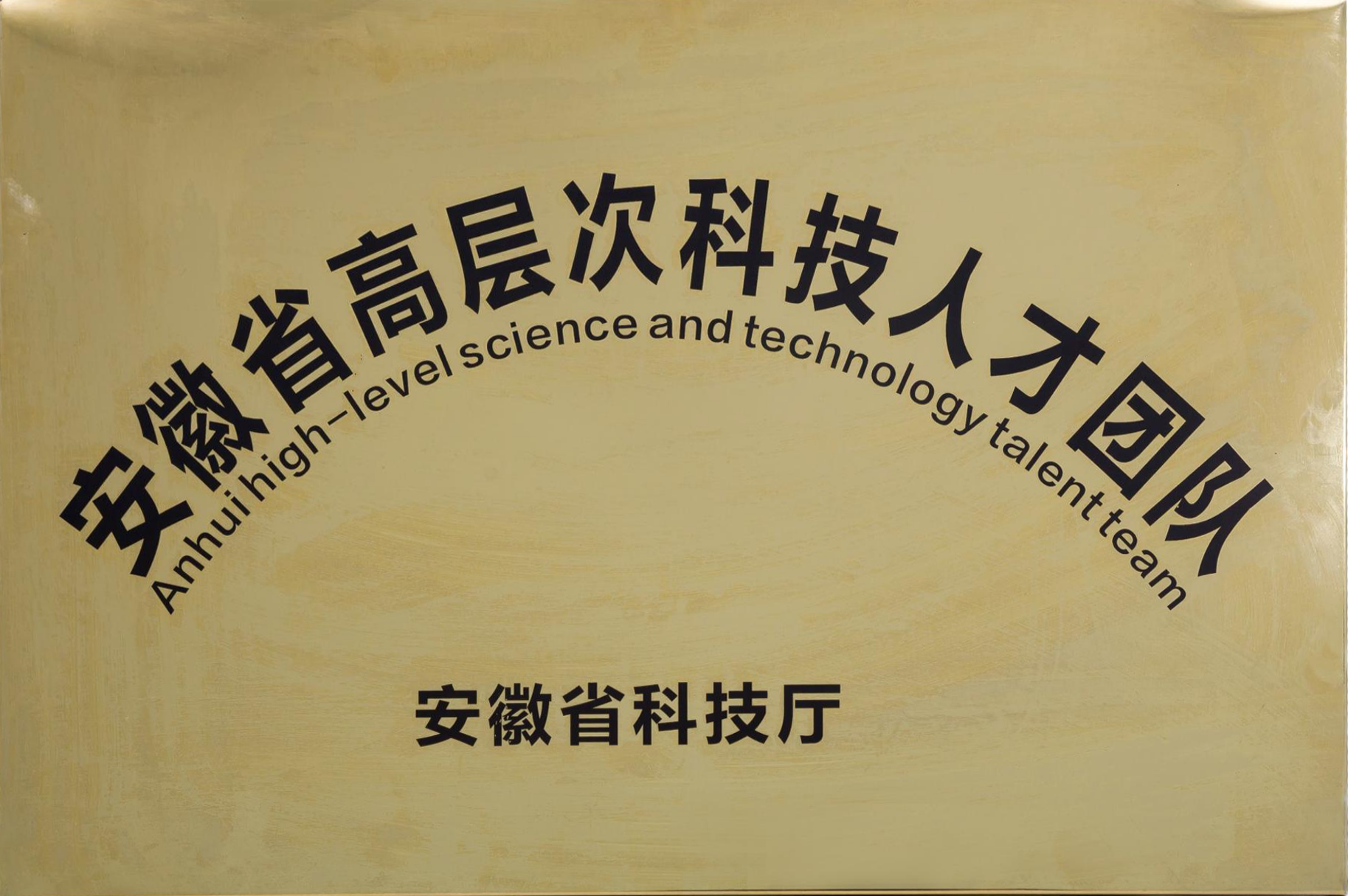 安徽省高层次科技人才团队