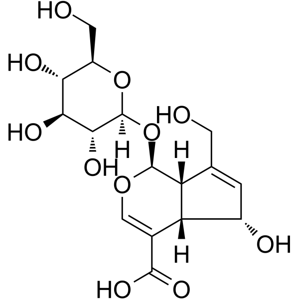 去乙酰基车叶草苷酸