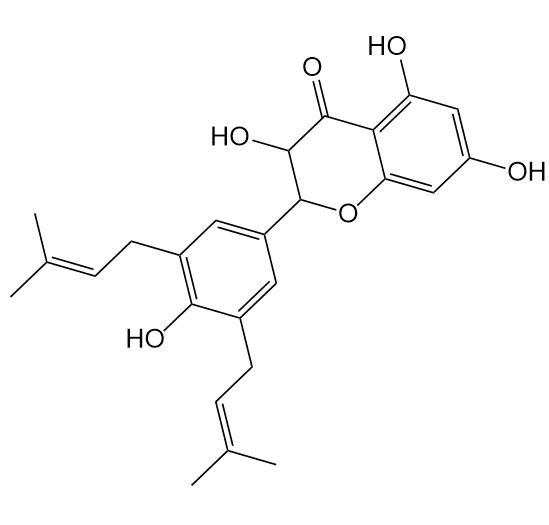 异戊烯基黄酮