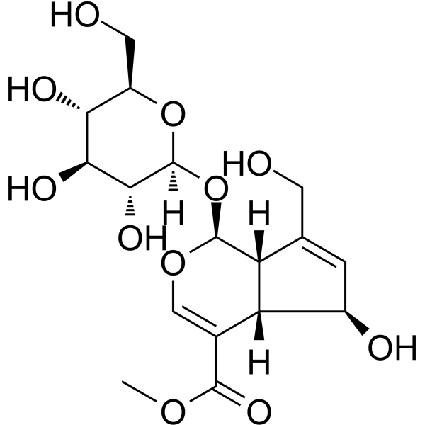 6-beta-羟基栀子苷；鸡屎藤次苷甲酯