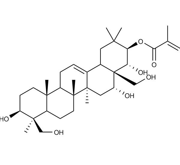 21-当归酰-原七叶树苷元