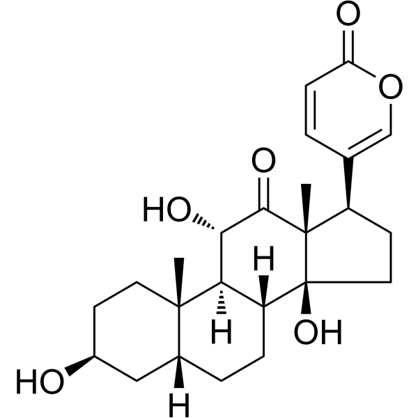 沙蟾毒精，沙蟾蜍精