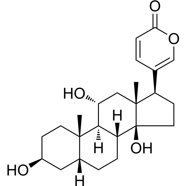 日蟾毒它灵，和蟾蜍他灵