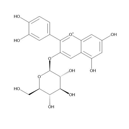 矢车菊素-3-O-葡萄糖苷