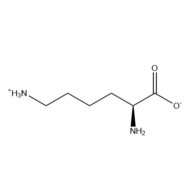 L-赖氨酸