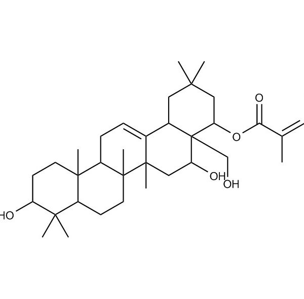 22-当归酰山茶皂苷元A