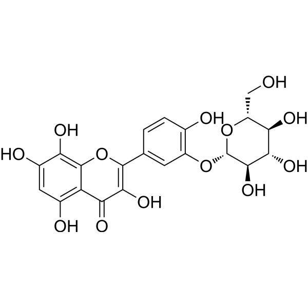 棉皮素-3'-O-β-葡萄糖苷