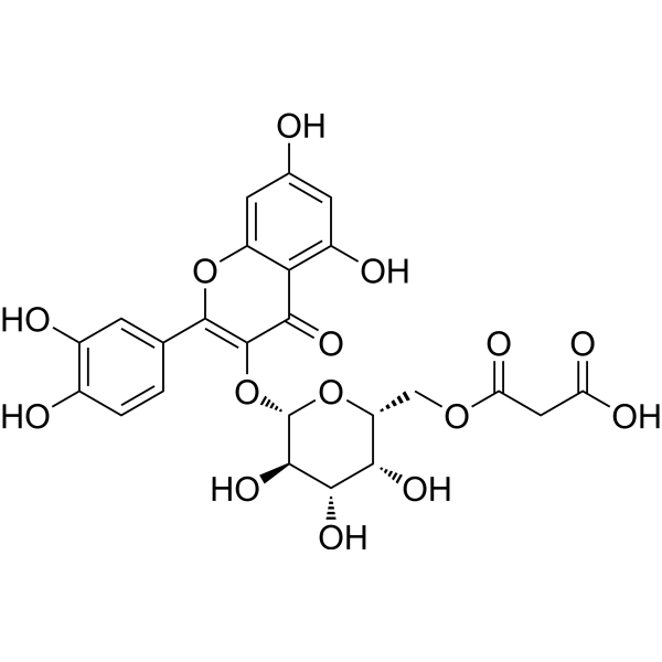 丙二酰化金丝桃苷