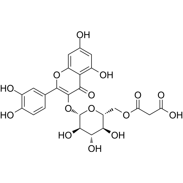 槲皮素-3-O-（6”-O-丙二酰基)-β-D-吡喃葡萄糖苷