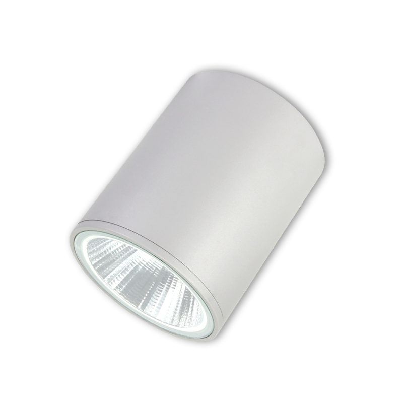 集中電源集中控制型應急照明燈具ZX1323A ZX1324B ZX1325C ( B型燈具筒燈)